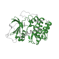 The deposited structure of PDB entry 3dne contains 1 copy of Pfam domain PF00069 (Protein kinase domain) in cAMP-dependent protein kinase catalytic subunit alpha. Showing 1 copy in chain A.
