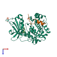 PDB entry 3dne coloured by chain, top view.