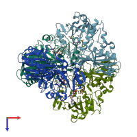PDB entry 3doc coloured by chain, top view.