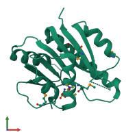 PDB entry 3dou coloured by chain, front view.