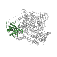 The deposited structure of PDB entry 3dpd contains 1 copy of CATH domain 2.60.40.150 (Immunoglobulin-like) in Phosphatidylinositol 4,5-bisphosphate 3-kinase catalytic subunit gamma isoform. Showing 1 copy in chain A.