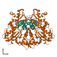 Hetero tetrameric assembly 1 of PDB entry 3dpg coloured by chemically distinct molecules, front view.