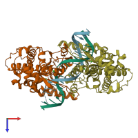 PDB entry 3dpg coloured by chain, top view.