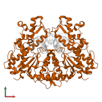 SgraIR restriction enzyme in PDB entry 3dpg, assembly 1, front view.