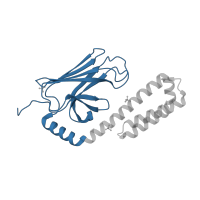 The deposited structure of PDB entry 3dpo contains 2 copies of CATH domain 2.60.34.10 (Substrate Binding Domain Of DNAk; Chain A, domain 1) in Chaperone protein DnaK. Showing 1 copy in chain B.