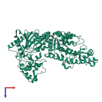 Creatine kinase B-type in PDB entry 3dre, assembly 1, top view.