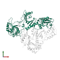 Reverse transcriptase/ribonuclease H in PDB entry 3drs, assembly 1, front view.