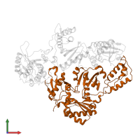 p51 RT in PDB entry 3drs, assembly 1, front view.