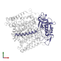 Reaction center protein H chain in PDB entry 3dta, assembly 1, front view.