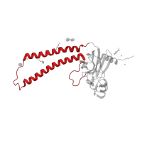 The deposited structure of PDB entry 3dtu contains 2 copies of CATH domain 1.10.287.90 (Helix Hairpins) in Cytochrome c oxidase subunit 2. Showing 1 copy in chain B.