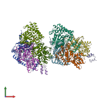 PDB entry 3duf coloured by chain, front view.