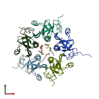 PDB entry 3dwa coloured by chain, front view.