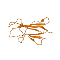 The deposited structure of PDB entry 3dxa contains 3 copies of CATH domain 2.60.40.10 (Immunoglobulin-like) in Beta-2-microglobulin. Showing 1 copy in chain B.