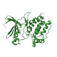 The deposited structure of PDB entry 3dxn contains 1 copy of Pfam domain PF00069 (Protein kinase domain) in Calcium-dependent protein kinase CDPK3. Showing 1 copy in chain A.