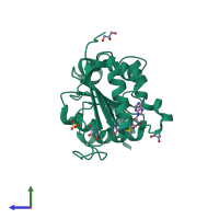 Monomeric assembly 1 of PDB entry 3dxy coloured by chemically distinct molecules, side view.