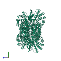 Homo tetrameric assembly 1 of PDB entry 3e04 coloured by chemically distinct molecules, side view.