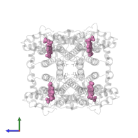 PROTOPORPHYRIN IX CONTAINING FE in PDB entry 3e08, assembly 1, side view.