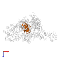 DNA substrate primer strand in PDB entry 3e0d, assembly 1, top view.