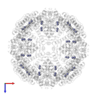 ZINC ION in PDB entry 3e1o, assembly 1, top view.