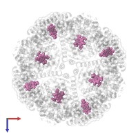 PROTOPORPHYRIN IX CONTAINING FE in PDB entry 3e1p, assembly 1, top view.