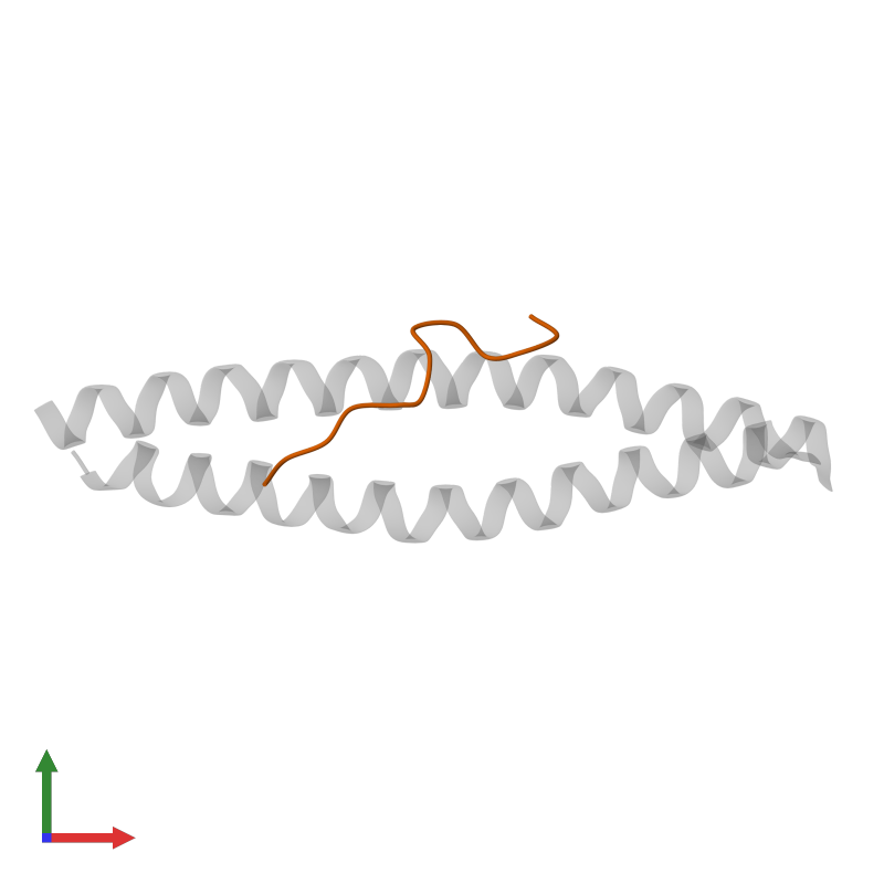 <div class='caption-body'>PDB entry 3e1r contains 1 copy of Programmed cell death 6-interacting protein in assembly 1. This protein is highlighted and viewed from the front.</div>