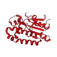 The deposited structure of PDB entry 3e1v contains 2 copies of CATH domain 3.40.1050.10 (Beta-carbonic Anhydrase; Chain A) in Carbonic anhydrase 2. Showing 1 copy in chain A.