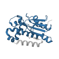 The deposited structure of PDB entry 3e1v contains 2 copies of Pfam domain PF00484 (Carbonic anhydrase) in Carbonic anhydrase 2. Showing 1 copy in chain A.