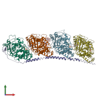 PDB entry 3e22 coloured by chain, front view.