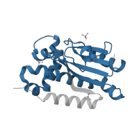 The deposited structure of PDB entry 3e24 contains 2 copies of Pfam domain PF00484 (Carbonic anhydrase) in Carbonic anhydrase 2. Showing 1 copy in chain A.