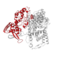 The deposited structure of PDB entry 3e2e contains 1 copy of CATH domain 1.10.1320.10 (T7 RNA polymerase; domain 1) in T7 RNA polymerase. Showing 1 copy in chain A.