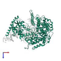 T7 RNA polymerase in PDB entry 3e2e, assembly 1, top view.