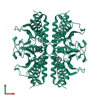 Homo tetrameric assembly 1 of PDB entry 3e31 coloured by chemically distinct molecules, front view.