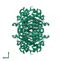 Homo tetrameric assembly 1 of PDB entry 3e31 coloured by chemically distinct molecules, side view.