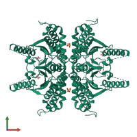 Homo tetrameric assembly 1 of PDB entry 3e3i coloured by chemically distinct molecules, front view.