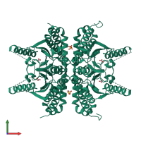 Homo tetrameric assembly 3 of PDB entry 3e3i coloured by chemically distinct molecules, front view.