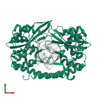 Type II restriction enzyme HincII in PDB entry 3e42, assembly 1, front view.