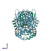 PDB entry 3e4w coloured by chain, side view.