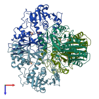PDB entry 3e6a coloured by chain, top view.