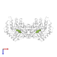 D-[3-HYDROXY-2-METHYL-5-PHOSPHONOOXYMETHYL-PYRIDIN-4-YLMETHYL]-N,O-CYCLOSERYLAMIDE in PDB entry 3e6e, assembly 1, top view.