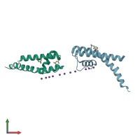PDB entry 3e8b coloured by chain, front view.