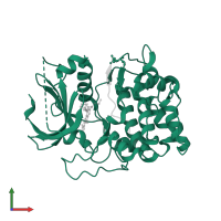 RAC-beta serine/threonine-protein kinase in PDB entry 3e8d, assembly 1, front view.