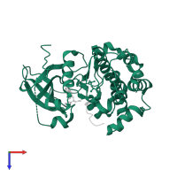 RAC-beta serine/threonine-protein kinase in PDB entry 3e8d, assembly 1, top view.