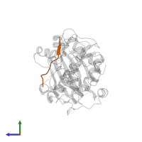 Glycogen synthase kinase-3 beta in PDB entry 3e8d, assembly 1, side view.