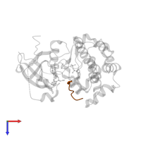 Glycogen synthase kinase-3 beta in PDB entry 3e8d, assembly 1, top view.