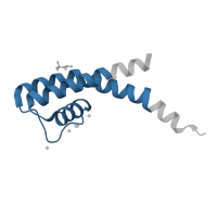 The deposited structure of PDB entry 3e8g contains 2 copies of Pfam domain PF07885 (Ion channel) in Potassium channel domain-containing protein. Showing 1 copy in chain B.