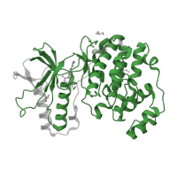 The deposited structure of PDB entry 3e92 contains 1 copy of Pfam domain PF00069 (Protein kinase domain) in Mitogen-activated protein kinase 14. Showing 1 copy in chain A.