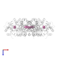 17,21-DIHYDROXYPREGNA-1,4-DIENE-3,11,20-TRIONE in PDB entry 3eb4, assembly 1, top view.