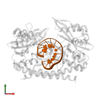 5'-D(*DGP*DCP*DCP*DGP*DGP*DTP*DCP*DGP*DAP*DCP*DGP*DGP*DGP*DC)-3' in PDB entry 3ebc, assembly 1, front view.