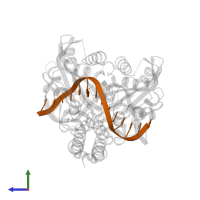 5'-D(*DGP*DCP*DCP*DGP*DGP*DTP*DCP*DGP*DAP*DCP*DGP*DGP*DGP*DC)-3' in PDB entry 3ebc, assembly 1, side view.