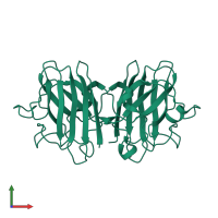 Superoxide dismutase [Cu-Zn] in PDB entry 3ecv, assembly 1, front view.